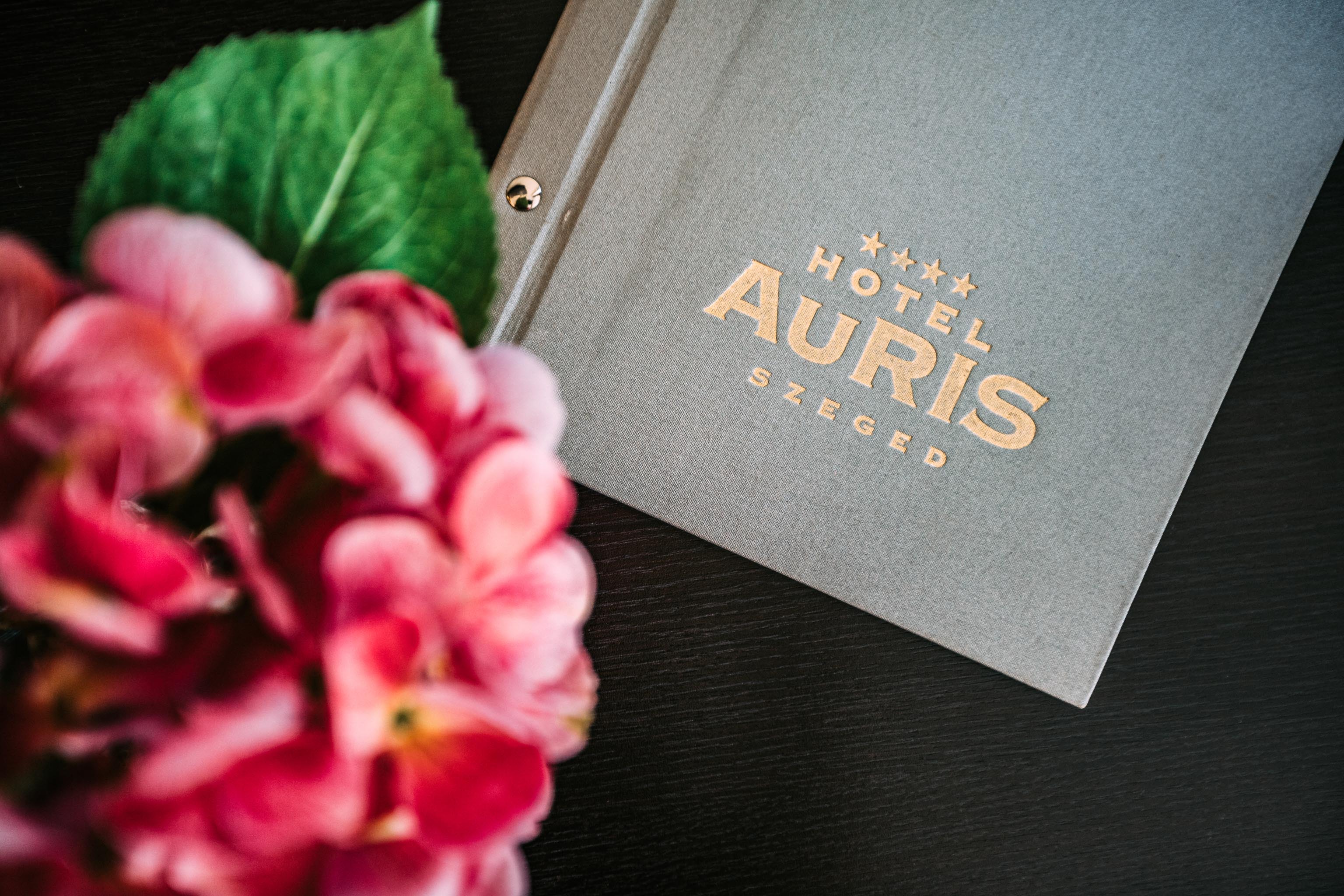 AURIS-2020-15
